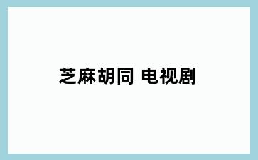 芝麻胡同 电视剧